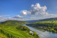 Moselweinlandschaft mit grünen Weinbergen und der Mosel