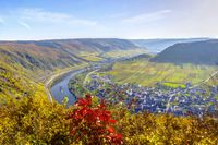 Weinberge und Moselschleifen