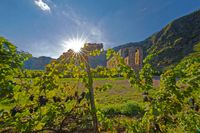 Klosterruine Stuben inmitten der Weinreben