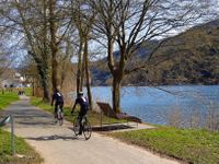 Zwei Rennradfahrer in flotter Fahrt auf dem Moselradweg bei Ediger-Eller im Winter, mit dem Fluss im Hintergrund und kahlen B&auml;umen.