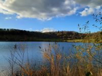 Wanderung Eifelsteig