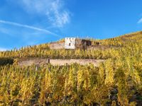 Sonnenuhr in den Weinbergen bei Zeltingen-Rachtig