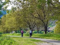 paar beim radfahren auf dem Moselradweg