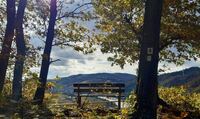 Rastplatz am Moselsteig mit Aussicht