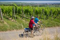 Radfahrer Elsass