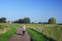 Radeln in Zeeland