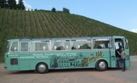 Oldtimerbus vor dem Weinberg