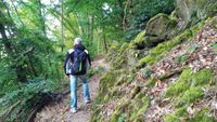 Waldweg durch die Briederner Schweiz