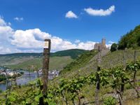 Moselsteig Logo und Burg Landshut